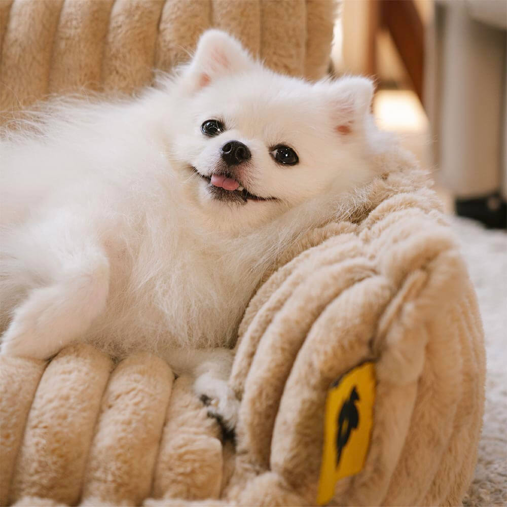 Grande cuscino ortopedico morbido e lavabile per cani, letto per cani Snoozy Dream