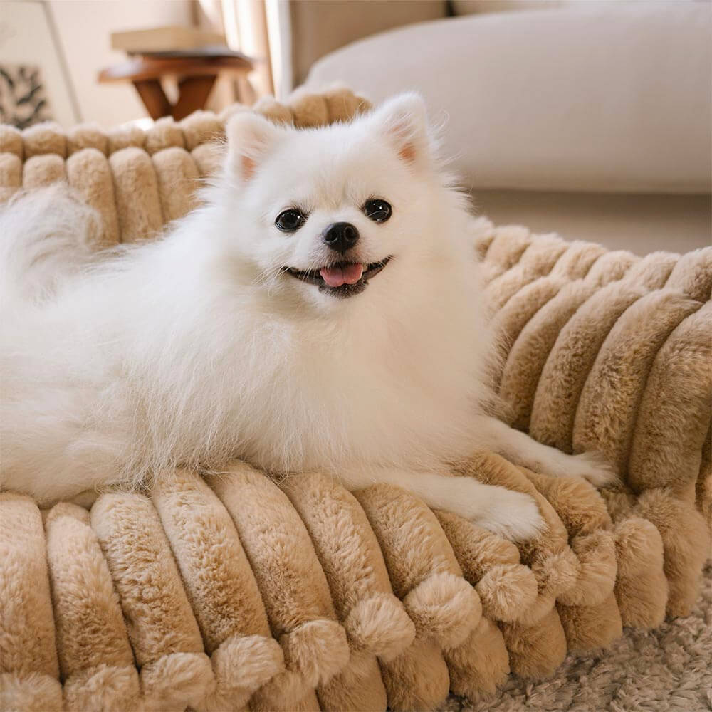 Grande cuscino ortopedico morbido e lavabile per cani, letto per cani Snoozy Dream