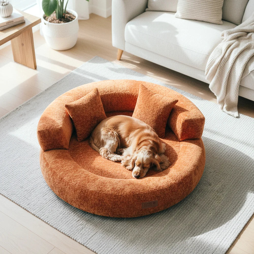 DreamNest – Letto ortopedico a ciambella in velluto con diamanti