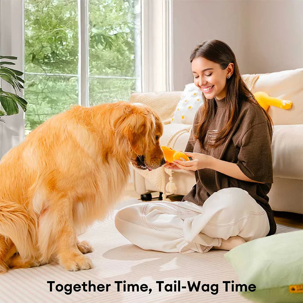 FUNNYFUZZY Scatola dei giocattoli – edizione limitata