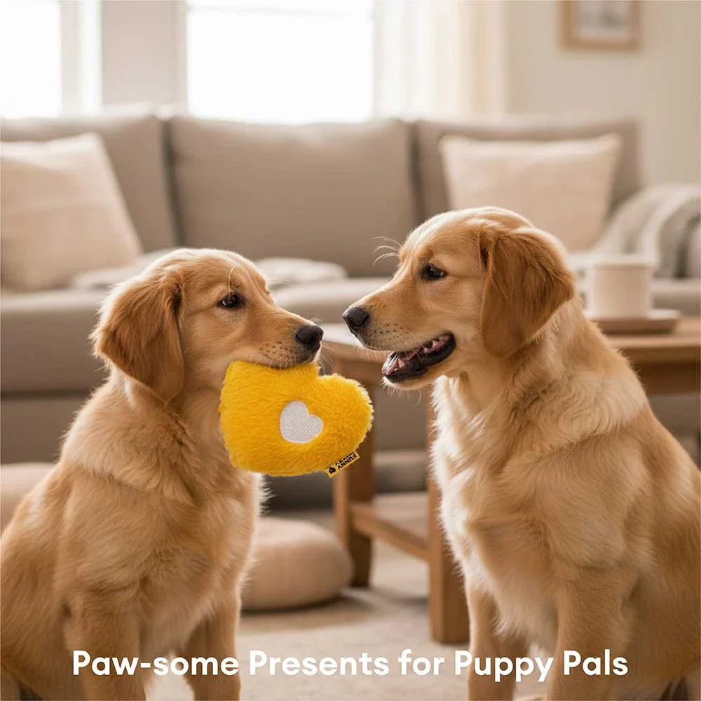 FUNNYFUZZY Scatola dei giocattoli – edizione limitata