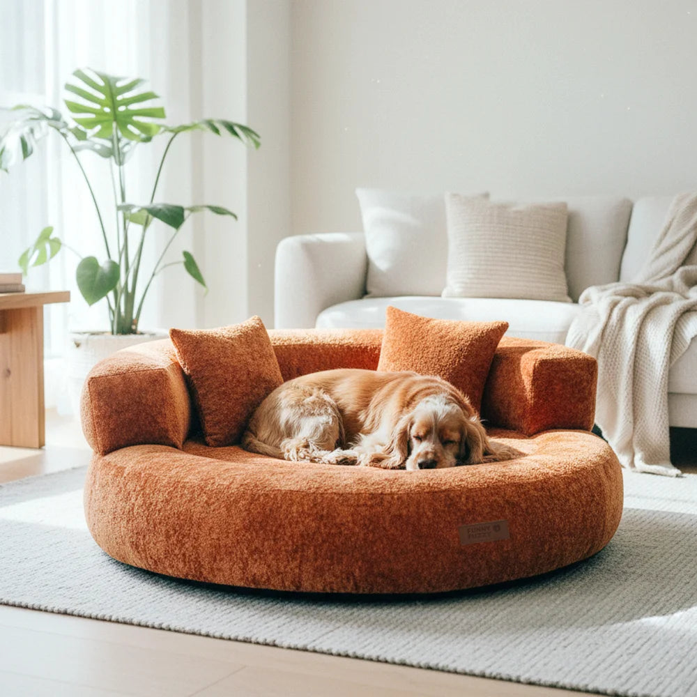 DreamNest – Letto ortopedico a ciambella in velluto con diamanti
