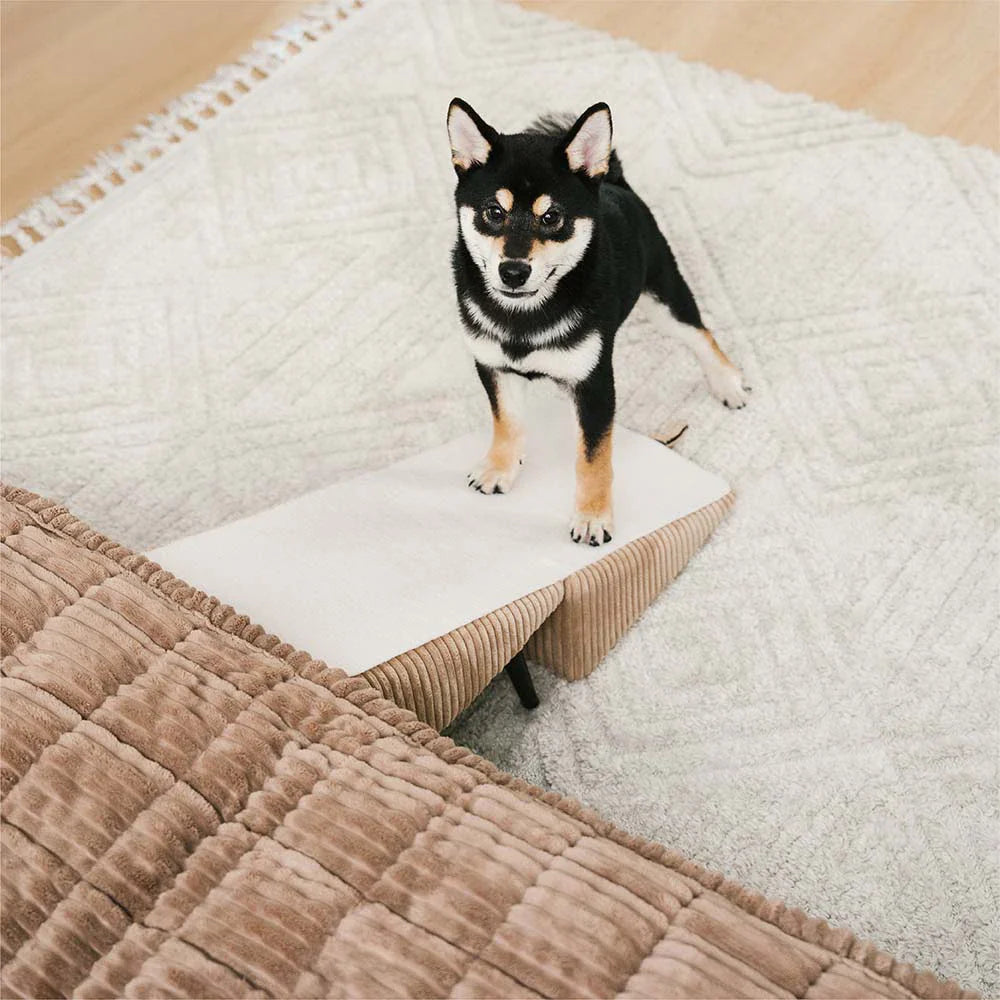 Rampa per animali domestici in velluto a coste rinforzata in lega 3 in 1 e sgabello laterale - StepSure