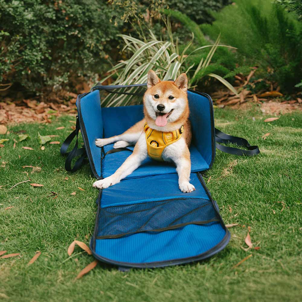 Seggiolino Auto Booster per Cani Sicuro Impermeabile e Trasportino per Animali - Gympet