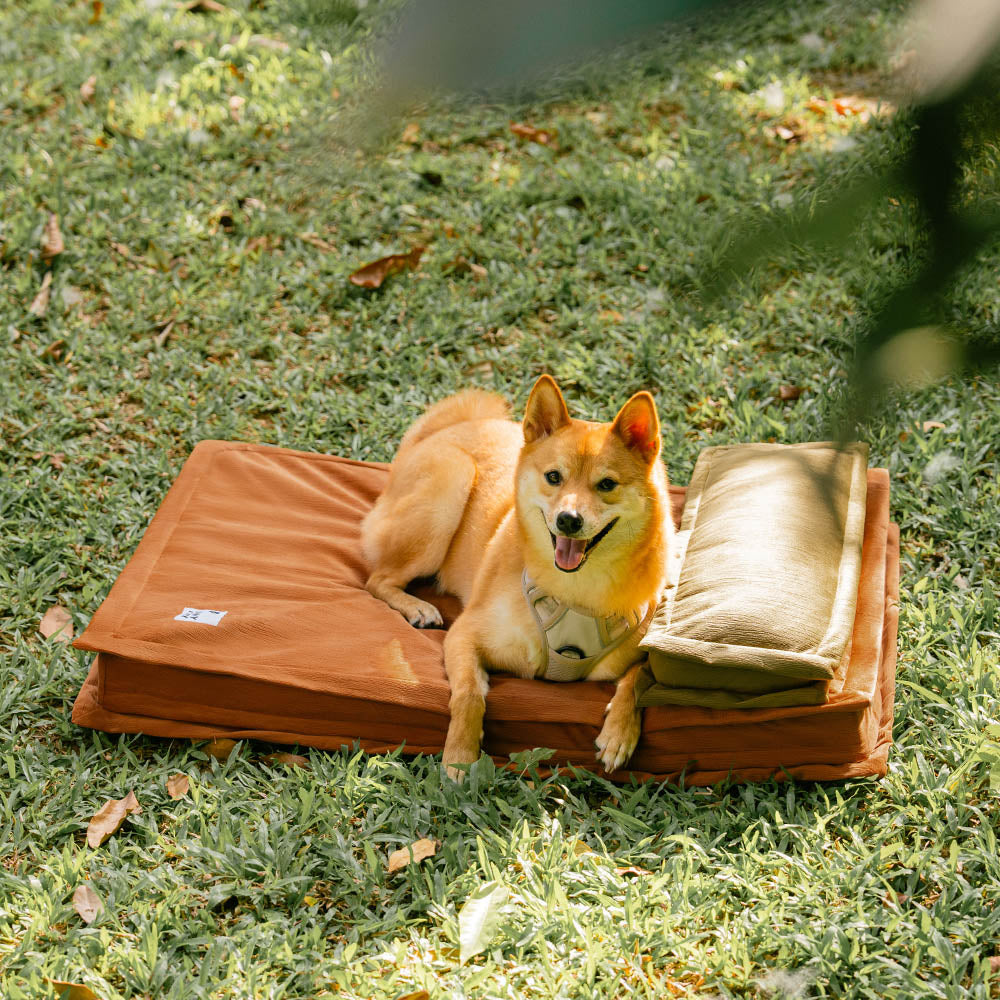 Letto per cani con supporto in spugna per il sonno profondo e anti-ansia