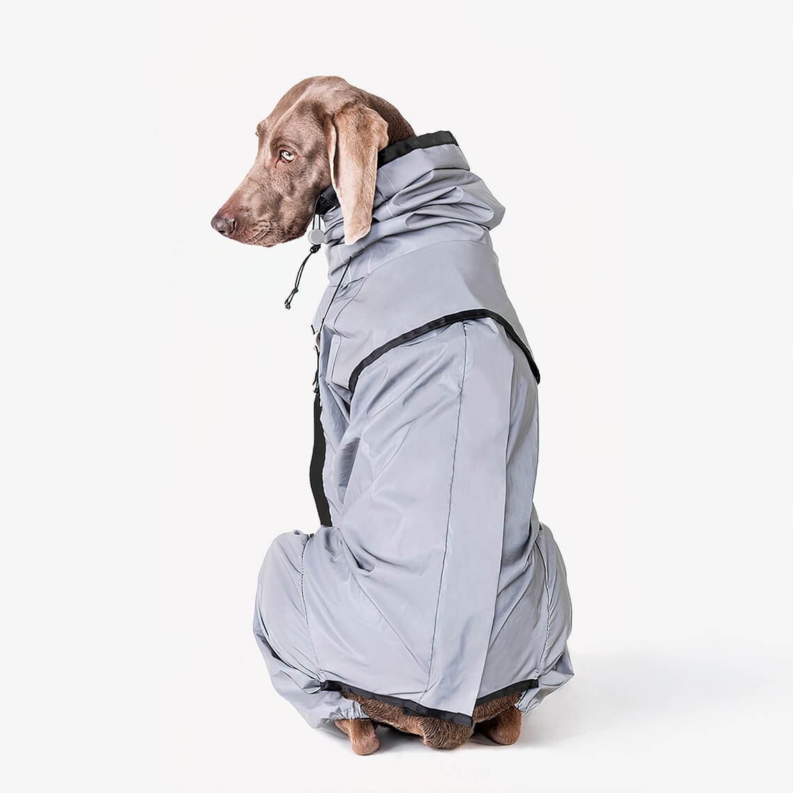 Accessori per cani riflettenti, impermeabili e per tutte le condizioni atmosferiche, giacca antipioggia.