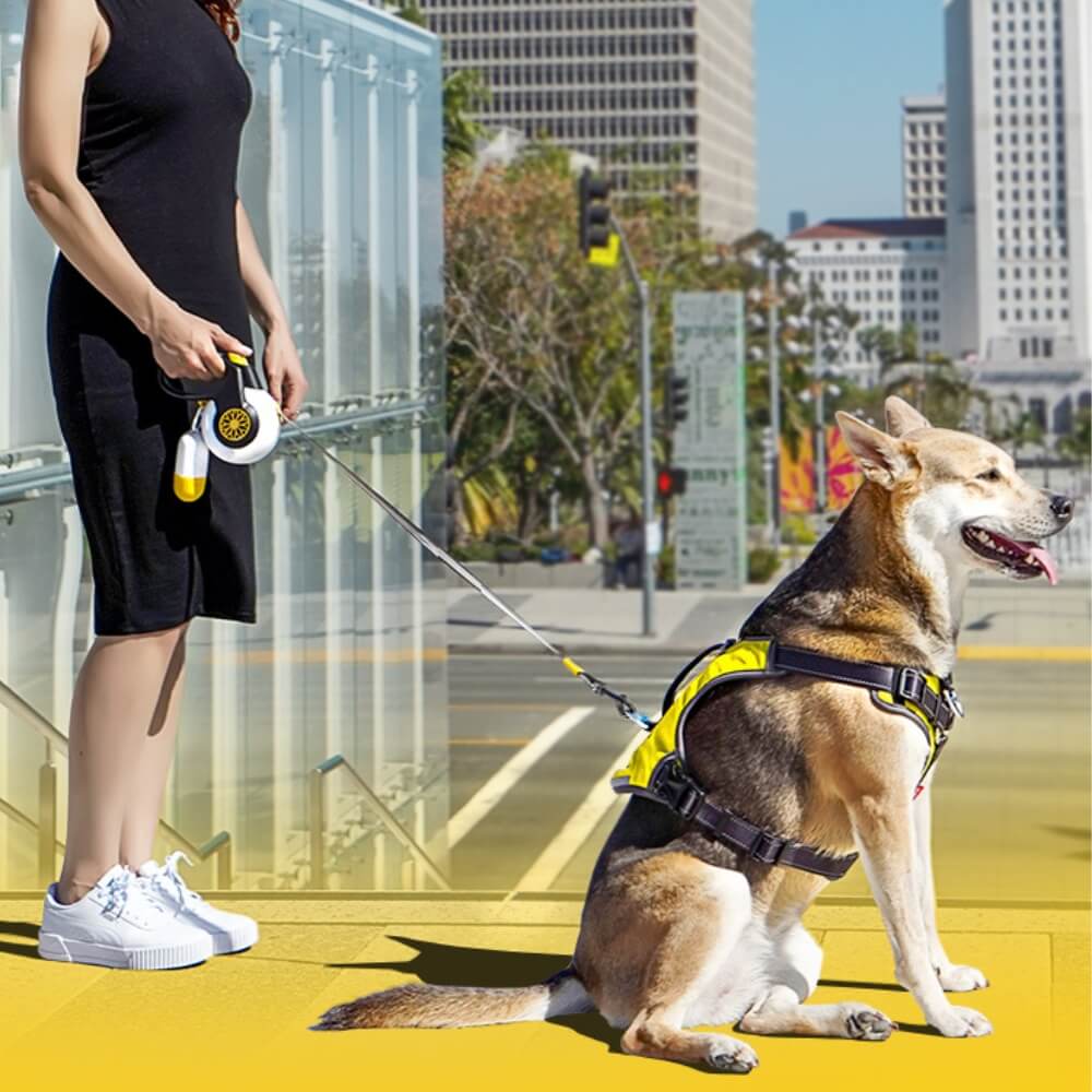 Leash retrattile automatica a prova di esplosione per cani di taglia media e grande