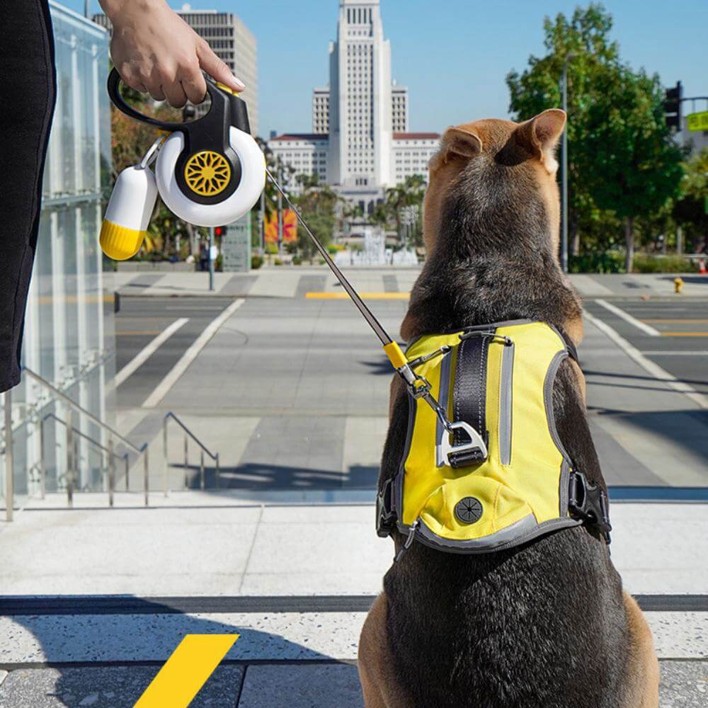 Leash retrattile automatica a prova di esplosione per cani di taglia media e grande