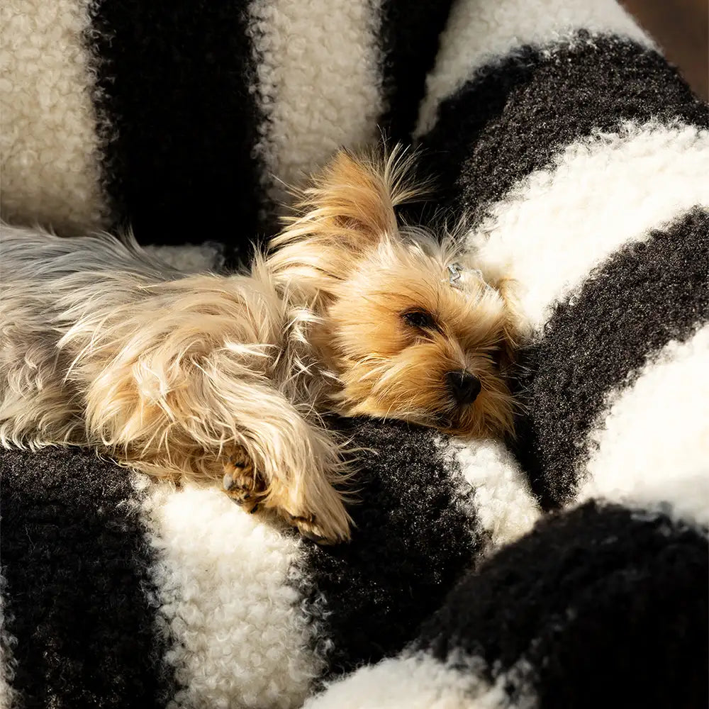 Letto per cani e gatti in morbida lana finta a righe bianco e nero - Tasti del pianoforte invernali