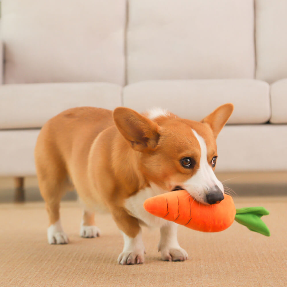 Giocattolo interattivo per cani in peluche a forma di carota con suono.