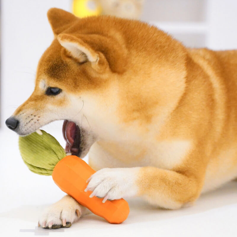 Giocattolo Squeaky Carota Resistente per Cani da Masticare