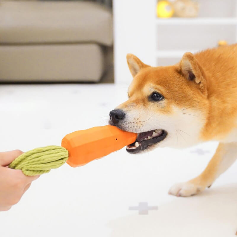 Giocattolo Squeaky Carota Resistente per Cani da Masticare