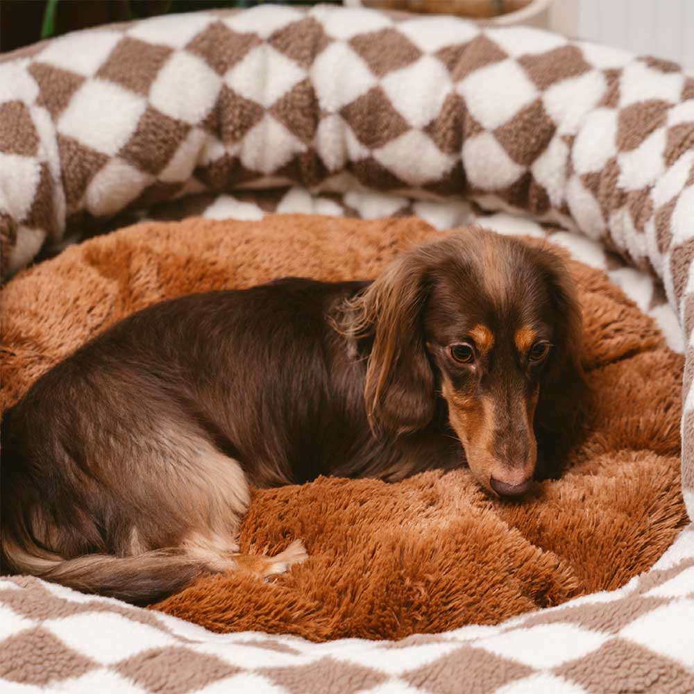 Letto per cani a forma di ciambella imbottito con motivo argyle, lavabile - Rifugio accogliente