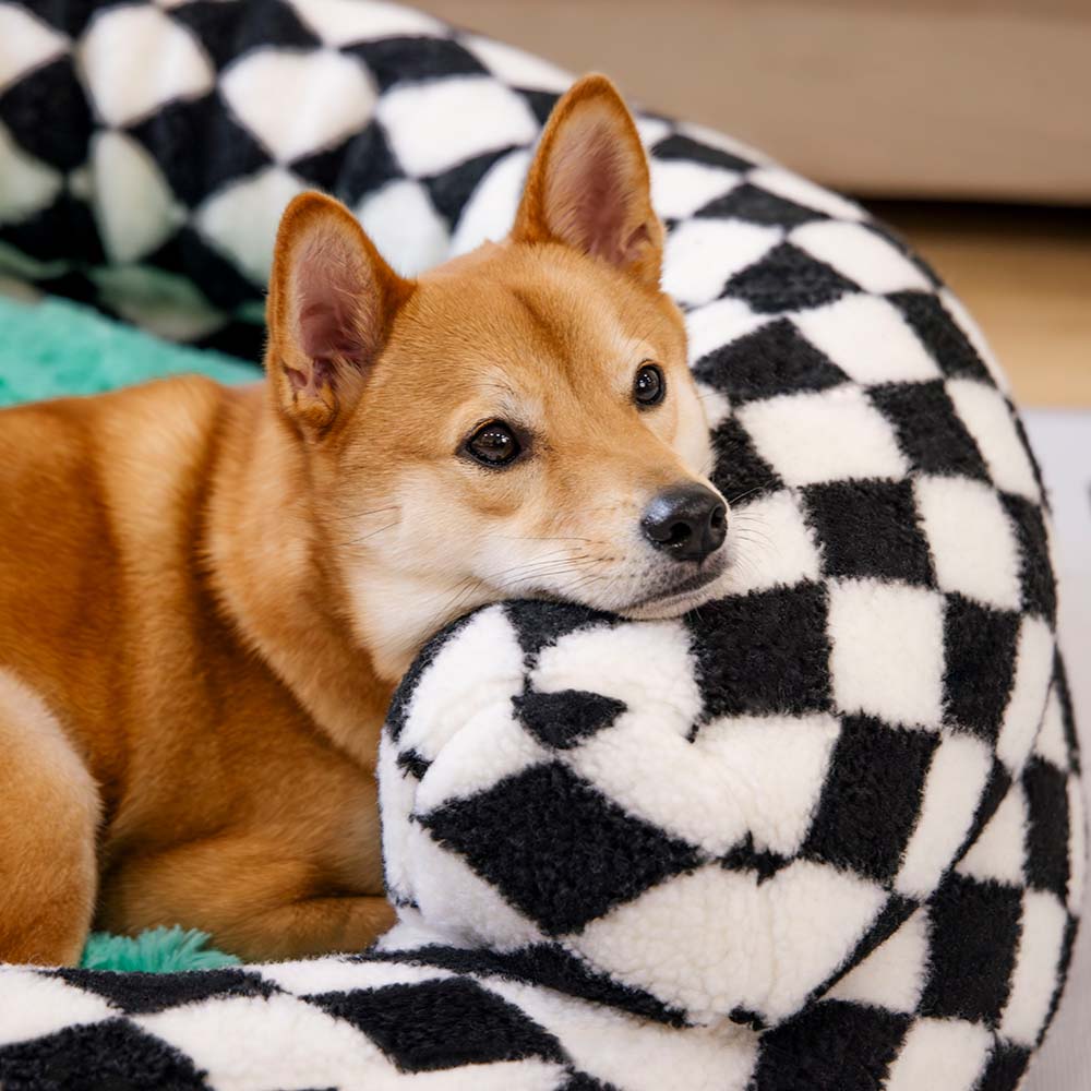 Letto per cani a forma di ciambella imbottito con motivo argyle, lavabile - Rifugio accogliente