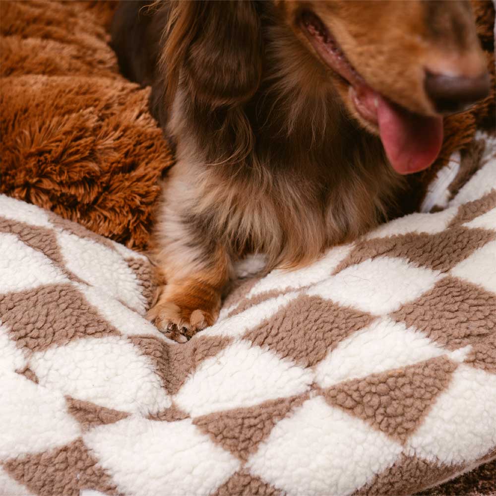 Letto per cani a forma di ciambella imbottito con motivo argyle, lavabile - Rifugio accogliente