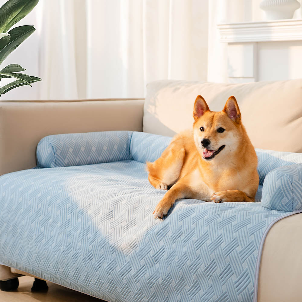 Copertura per Divano per Cani con Cuscino Antiscivolo e Raffreddamento - Chill Guard