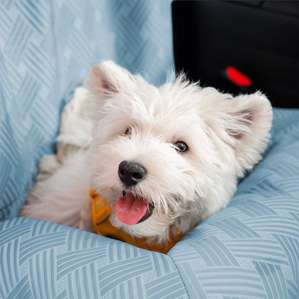 Cuscino di Sicurezza per Viaggi Rinfrescante per Cani di Grande Taglia - Chill Rover