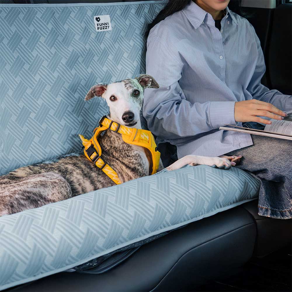 Cuscino di Sicurezza per Viaggi Rinfrescante per Cani di Grande Taglia - Chill Rover