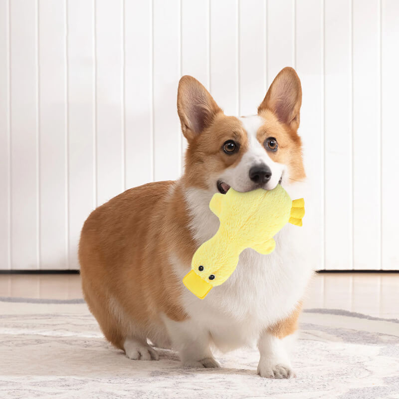 Peluche di anatra carina con fischietto, giocattolo da masticare per cani.