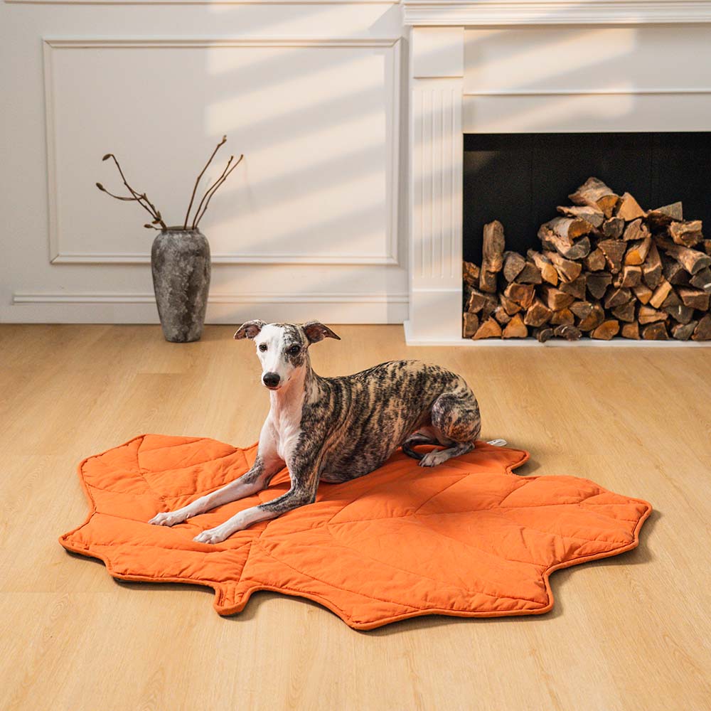 Coperta per cani a forma di foglia