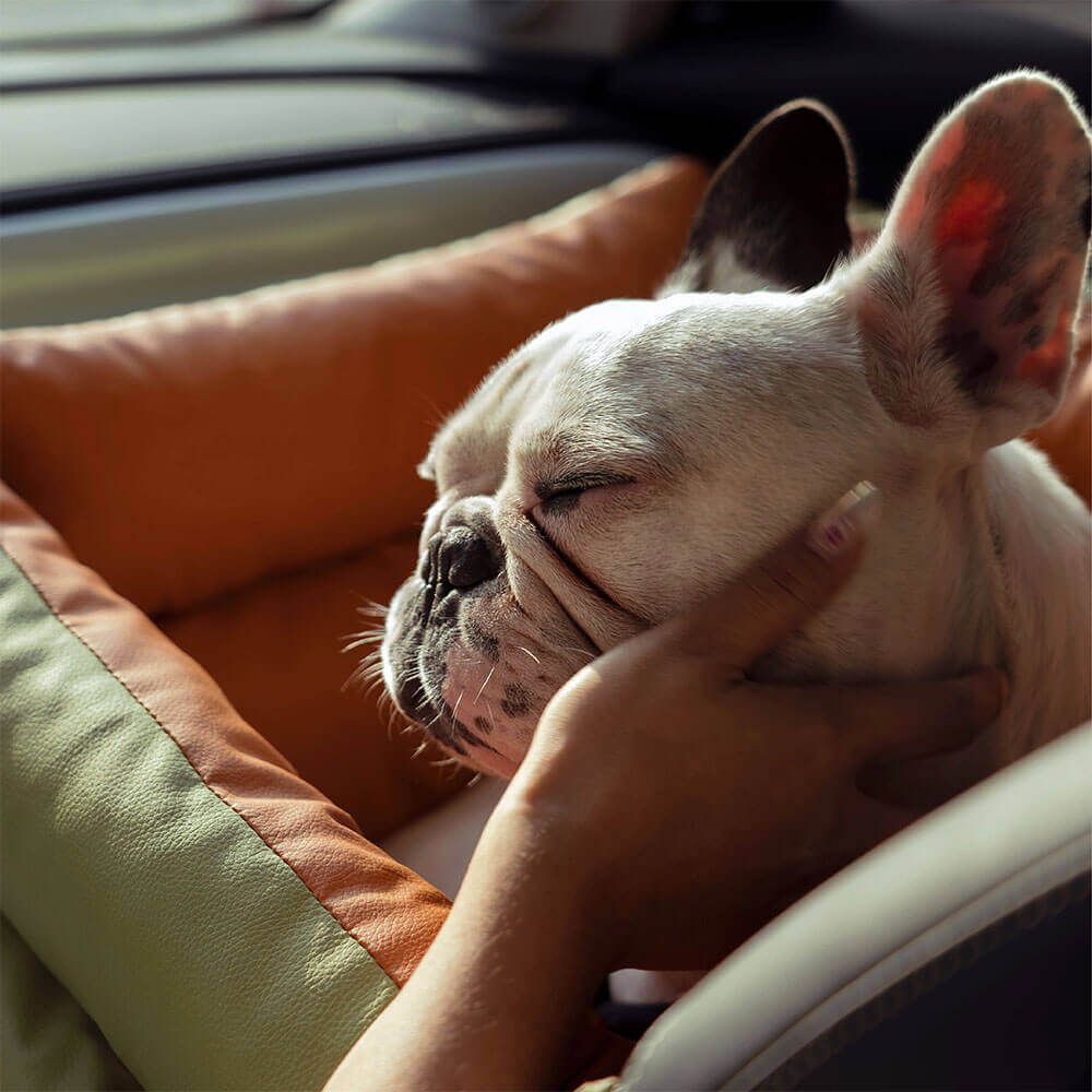 Seggiolino Auto Rialzato Deluxe per Cani in Ecopelle - Urban Voyager