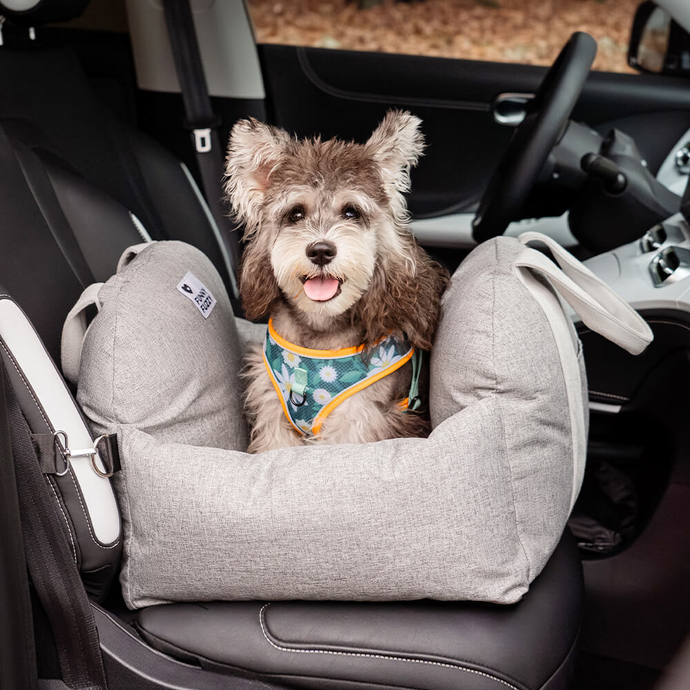 Letto per auto per cani - Prima Classe