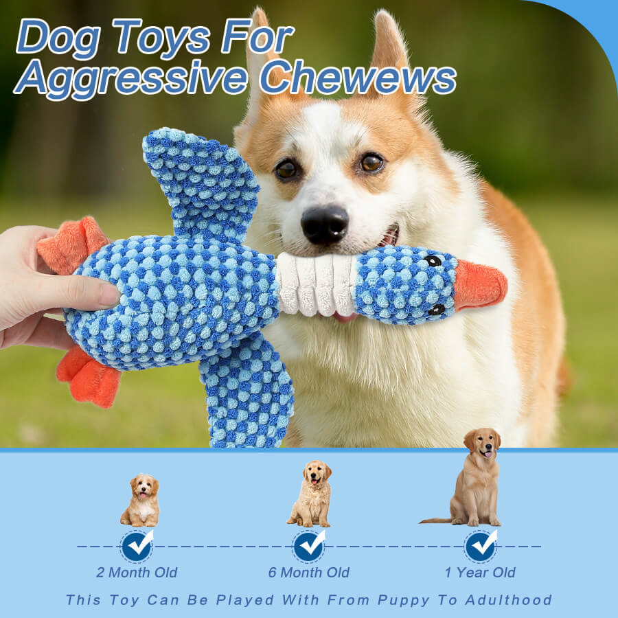 Giocattolo per cani resistente alla masticazione con squeaker - Uccello