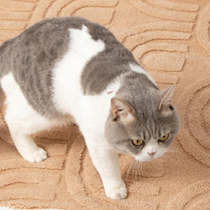 Coperta per animali domestici in peluche caldo e reversibile