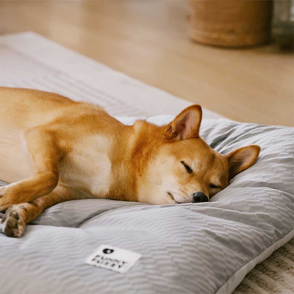 Materassino per cani lavabile e confortevole a doppio lato