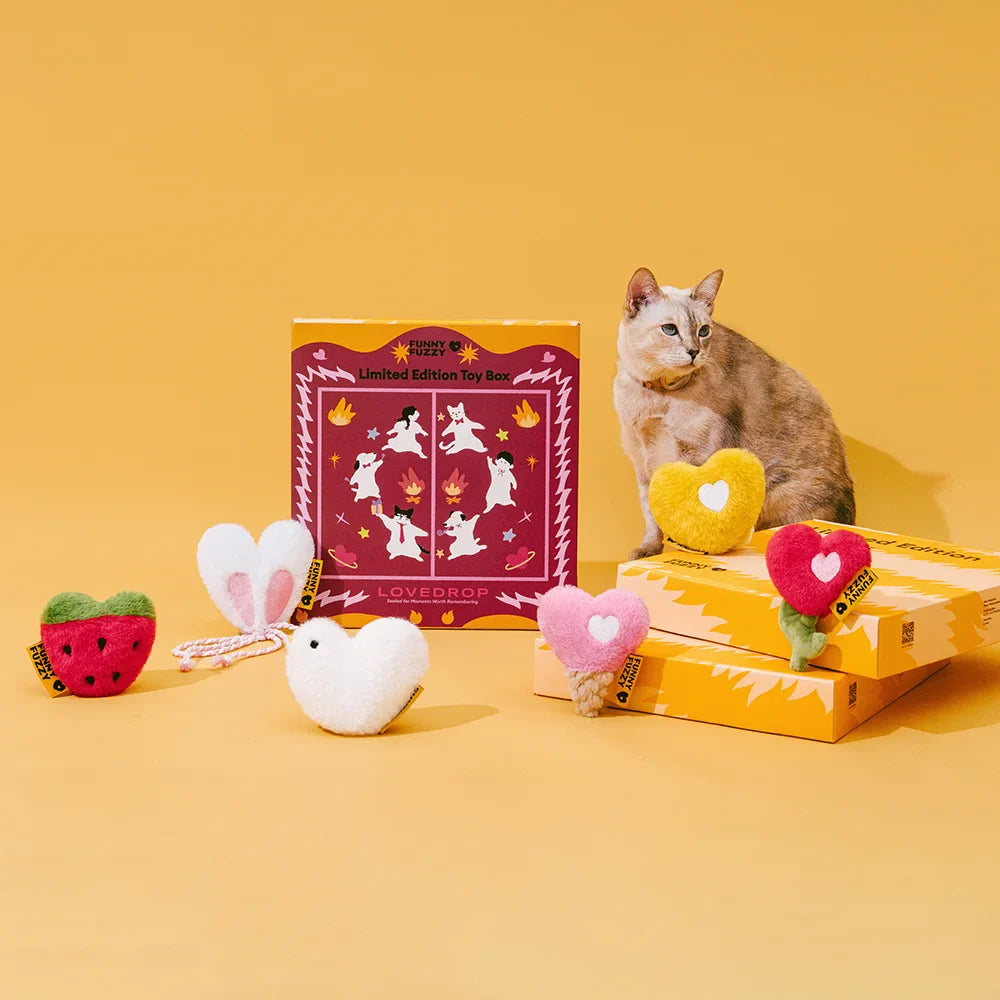 FUNNYFUZZY Scatola dei giocattoli – edizione limitata