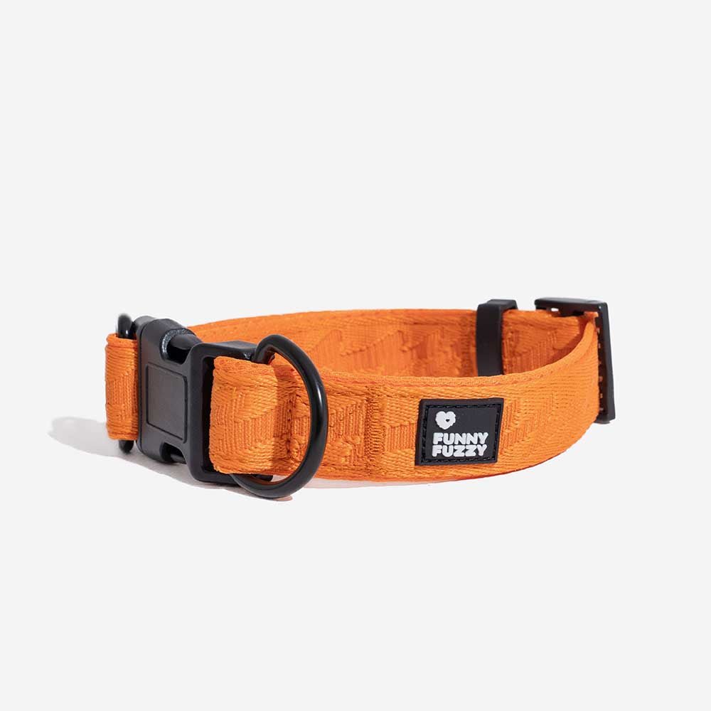 COLLARE PER CANI REGOLABILE IN NYLON DURATURO FUNNYFUZZY - FLEXI WALKER