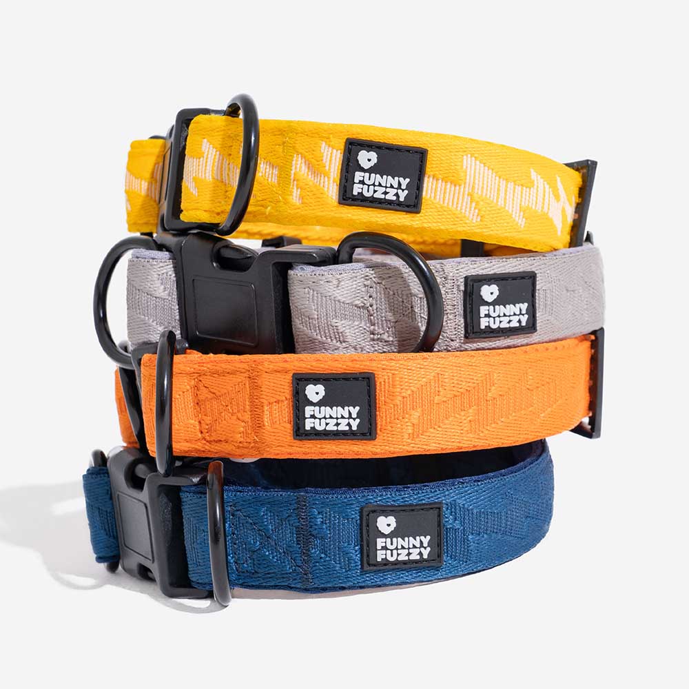 COLLARE PER CANI REGOLABILE IN NYLON DURATURO FUNNYFUZZY - FLEXI WALKER