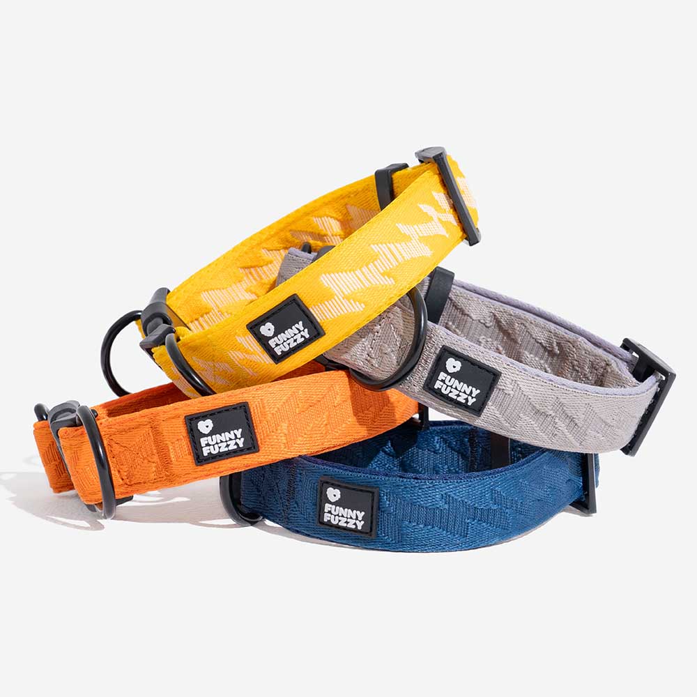 COLLARE PER CANI REGOLABILE IN NYLON DURATURO FUNNYFUZZY - FLEXI WALKER
