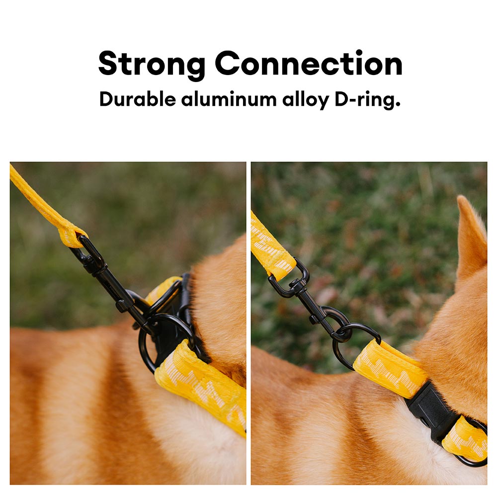 COLLARE PER CANI REGOLABILE IN NYLON DURATURO FUNNYFUZZY - FLEXI WALKER