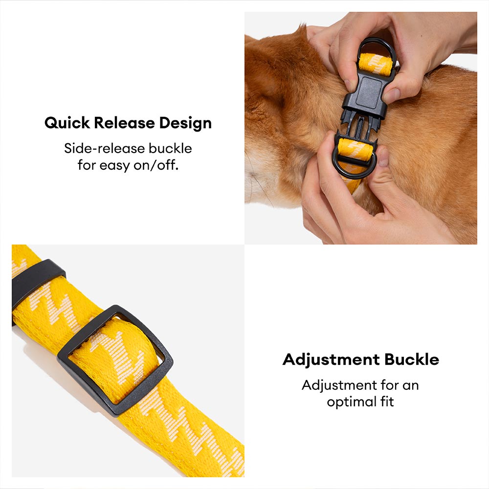 COLLARE PER CANI REGOLABILE IN NYLON DURATURO FUNNYFUZZY - FLEXI WALKER