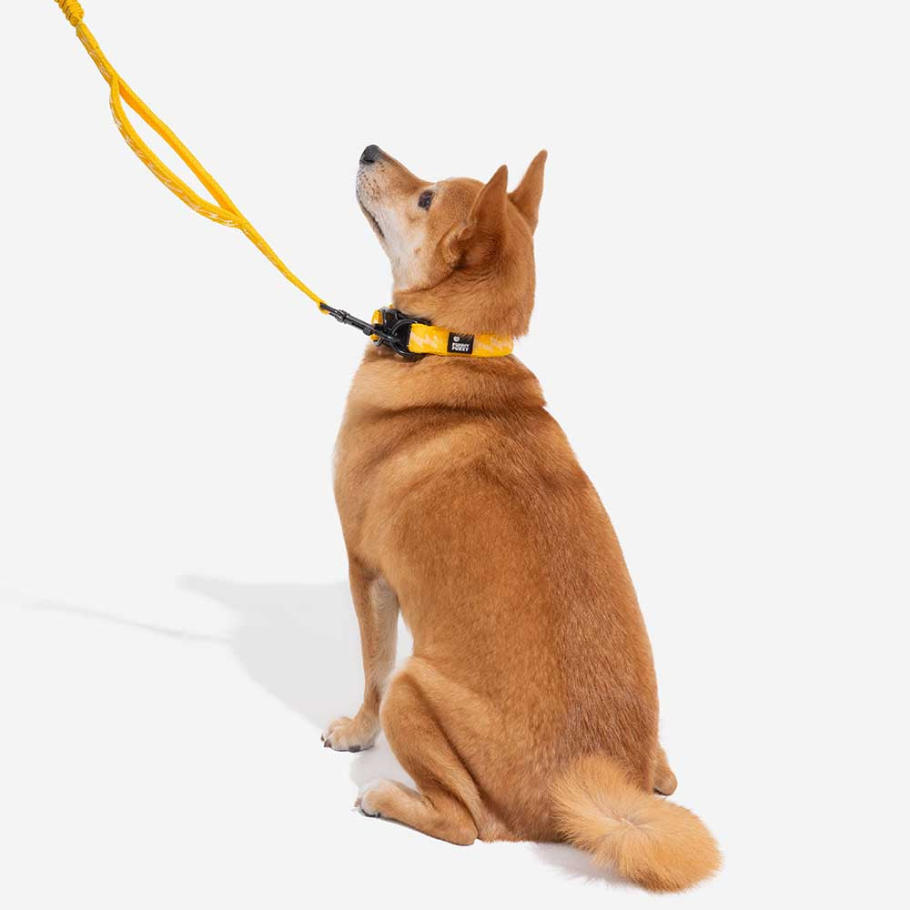 COLLARE PER CANI REGOLABILE IN NYLON DURATURO FUNNYFUZZY - FLEXI WALKER