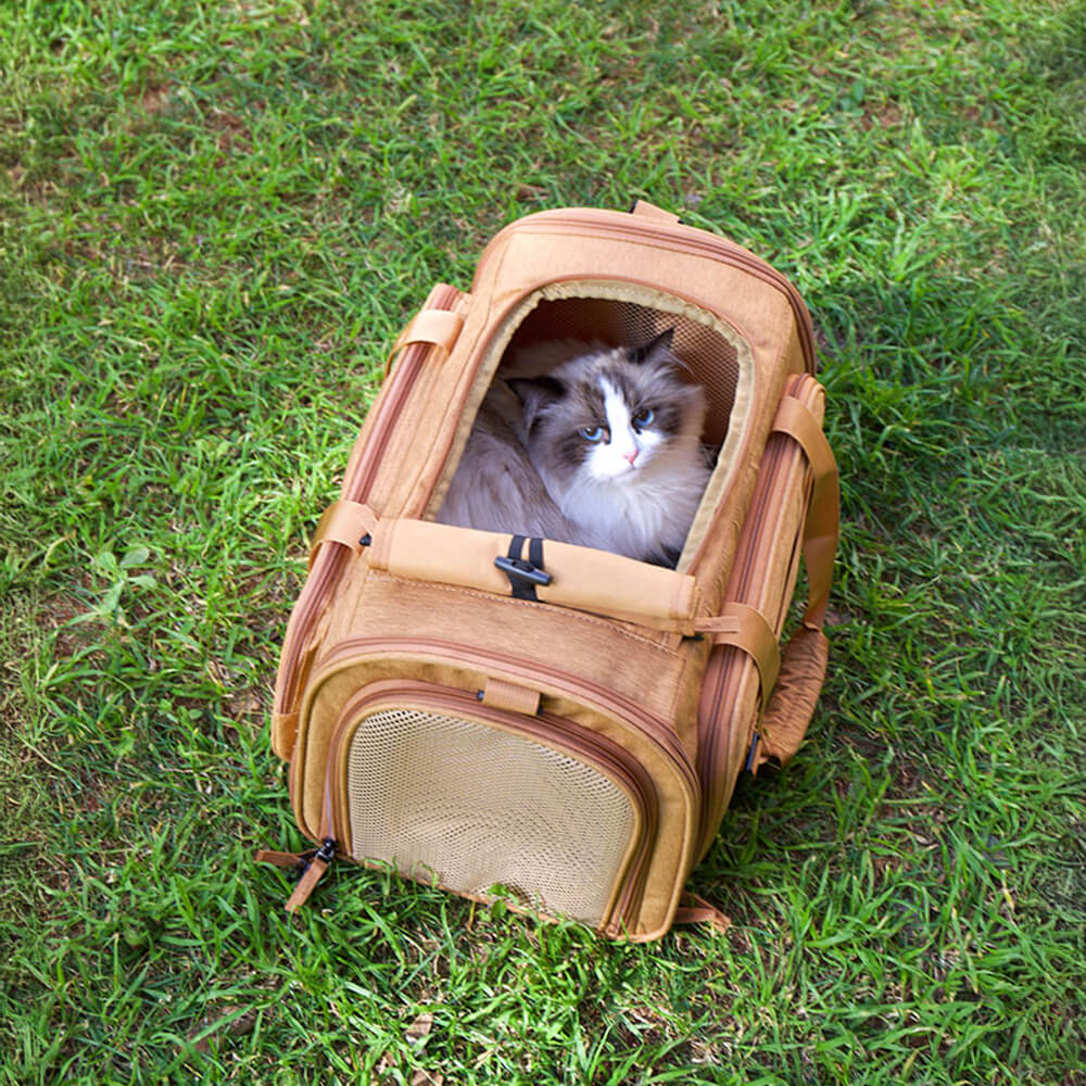 Borsa da viaggio per gatti con spalla singola espandibile e ampio spazio