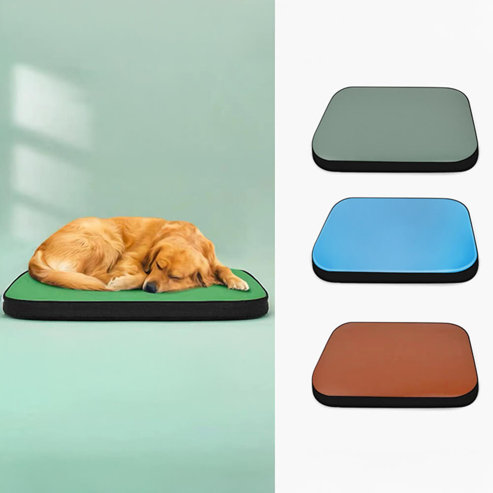 Tappetino per cani moderno in pelle sintetica impermeabile, resistente agli odori e ai peli.
