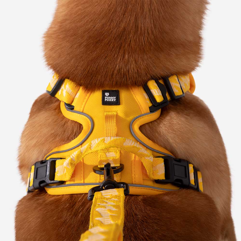 FUNNYFUZZY Imbracatura Riflettente Regolabile per Cani da Esterno - Flexi Walker