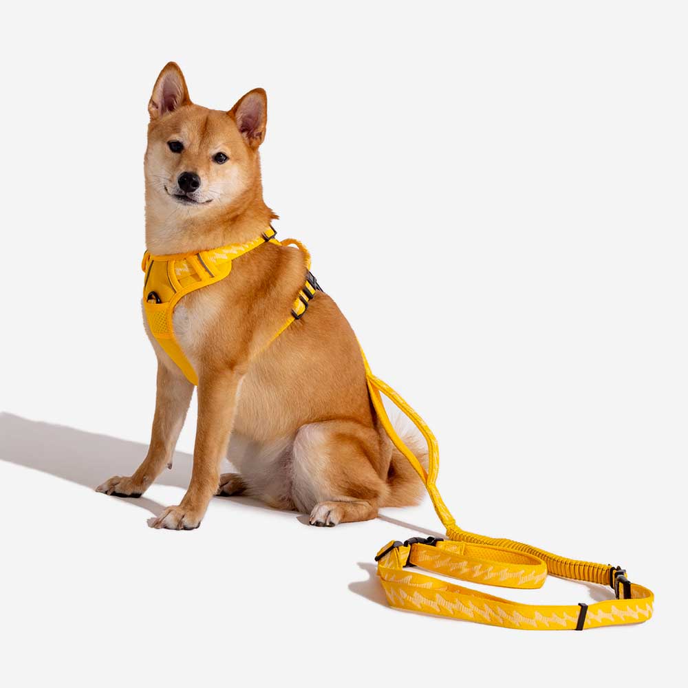 FUNNYFUZZY Imbracatura Riflettente Regolabile per Cani da Esterno - Flexi Walker
