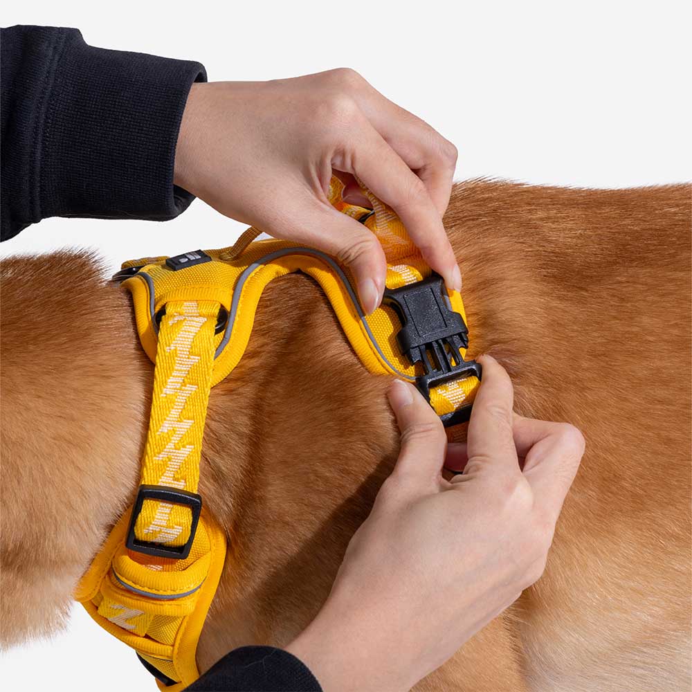 FUNNYFUZZY Imbracatura Riflettente Regolabile per Cani da Esterno - Flexi Walker