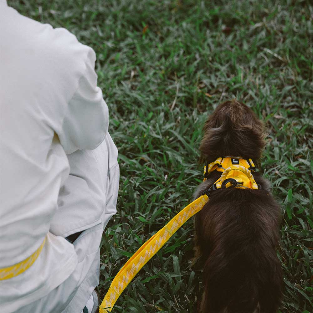 FUNNYFUZZY Imbracatura Riflettente Regolabile per Cani da Esterno - Flexi Walker