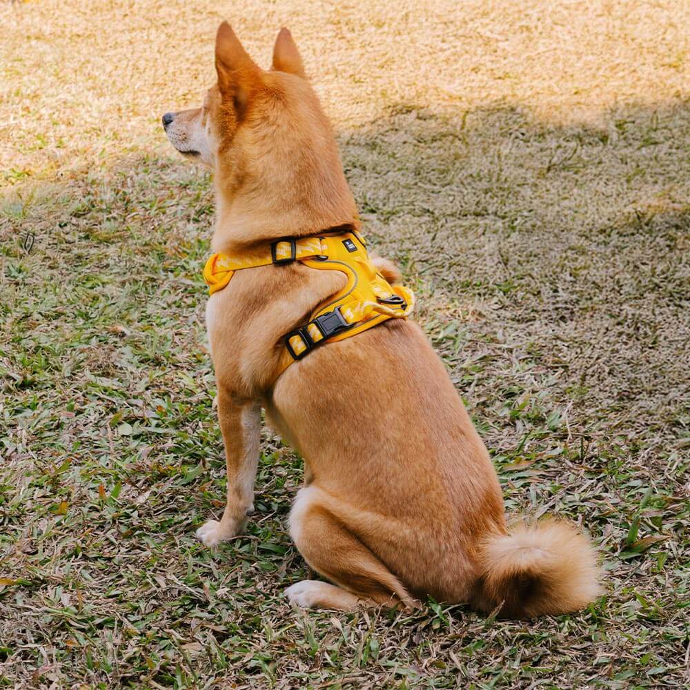 FUNNYFUZZY Imbracatura Riflettente Regolabile per Cani da Esterno - Flexi Walker