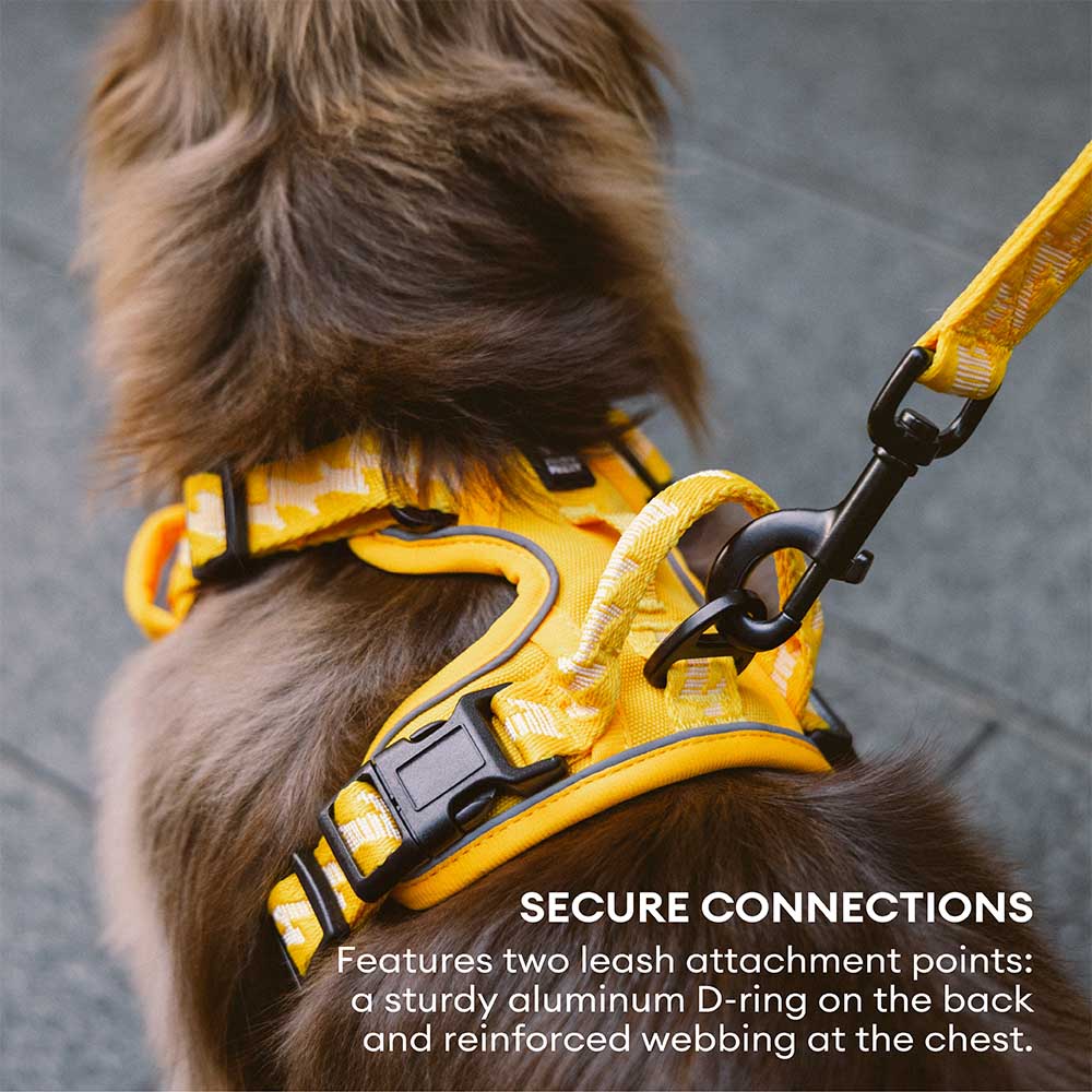 FUNNYFUZZY Imbracatura Riflettente Regolabile per Cani da Esterno - Flexi Walker