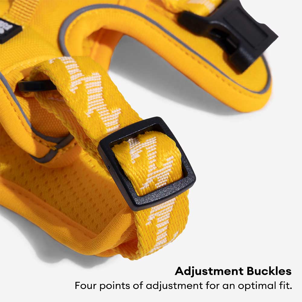 FUNNYFUZZY Imbracatura Riflettente Regolabile per Cani da Esterno - Flexi Walker