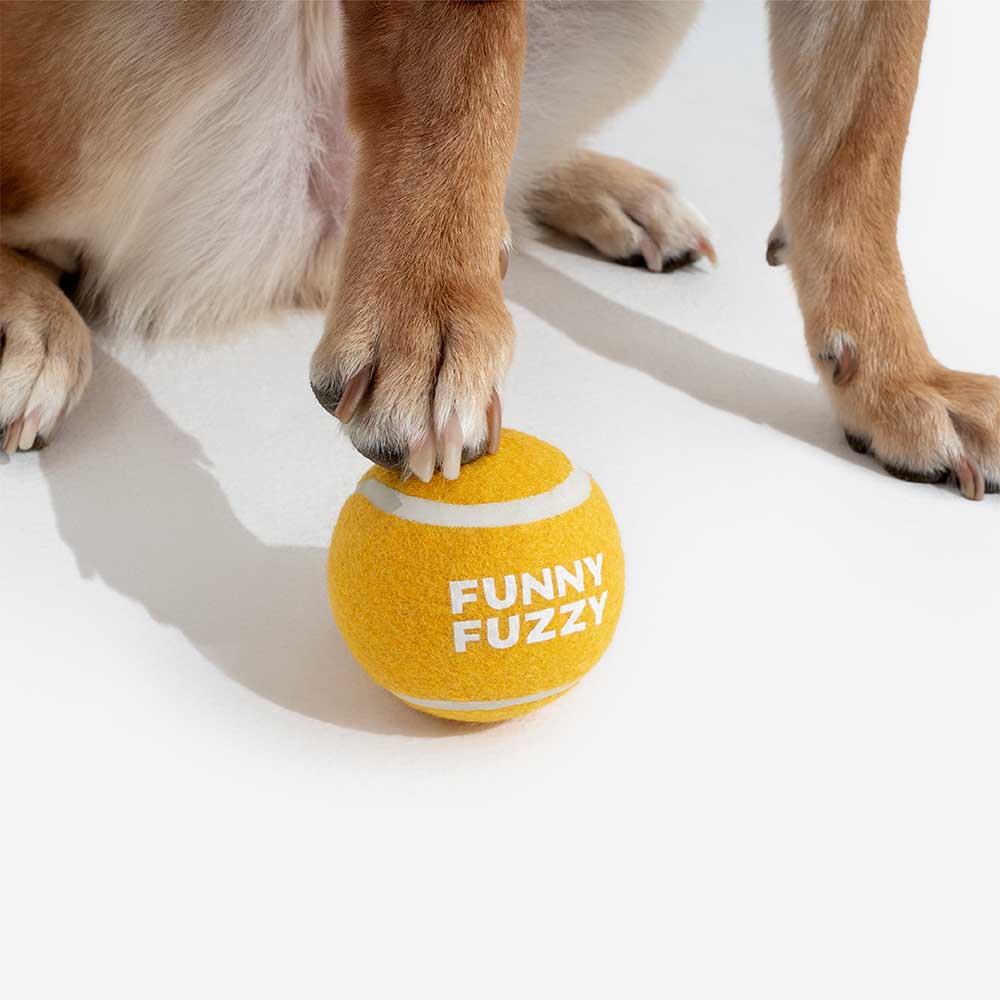 Giocattolo per cani a forma di pallina da tennis - Squeaky e rimbalza