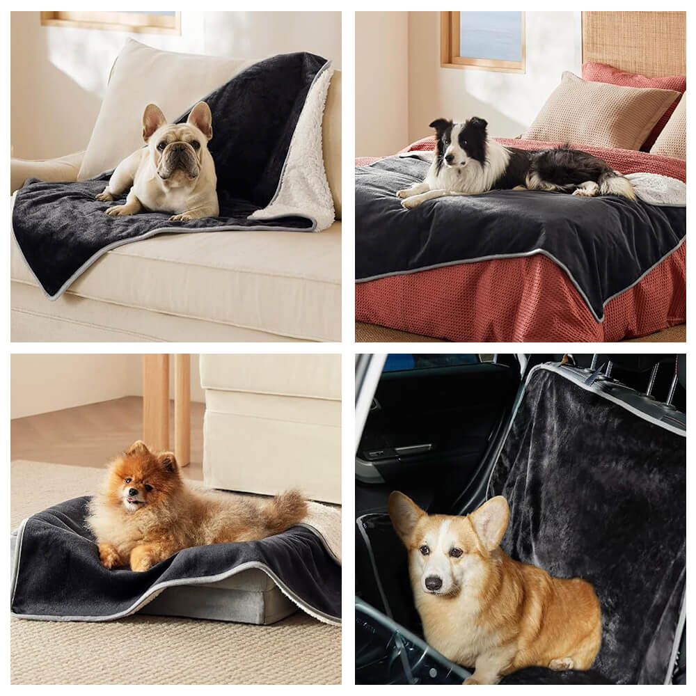 Plaid per animali in pile reversibile, accogliente e protettivo