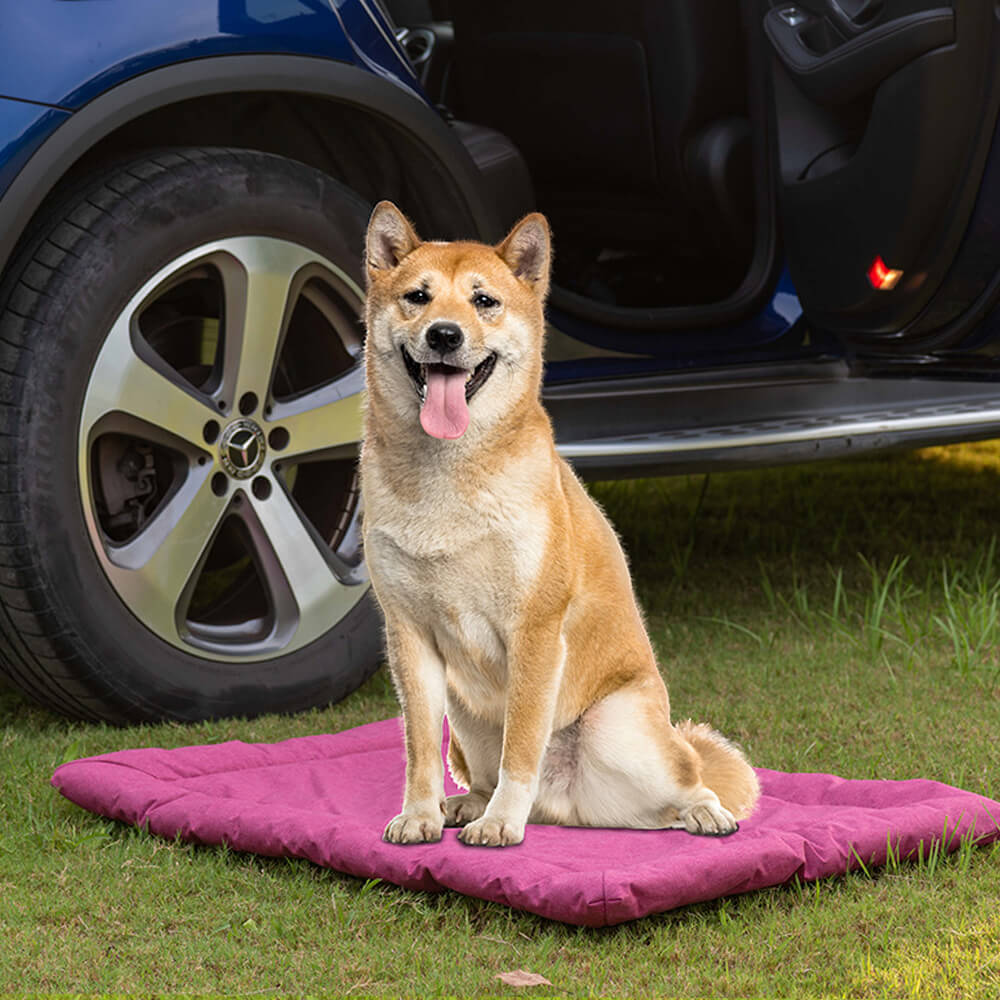 Tappetino pieghevole impermeabile per animali domestici in stile utilitario da esterno per auto e campeggio