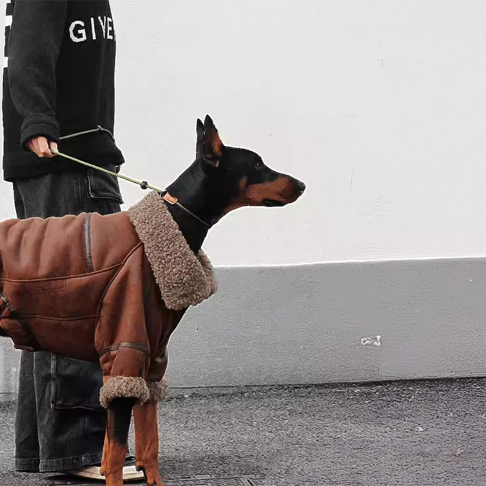 Giacca per Cani Aviatore Vintage con Rivestimento in Pelliccia - Calda e Elegante