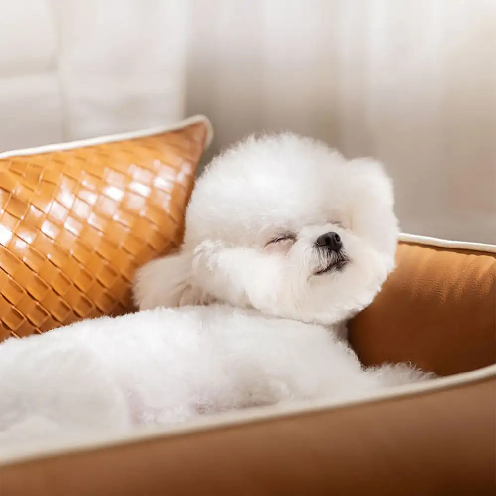 Letto per cani in pelle sintetica impermeabile con schienale protettivo in lattice